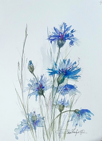 Photo of Pam's Work